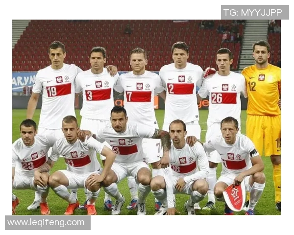 日本与波兰精彩对决全场录像回播回顾与分析
